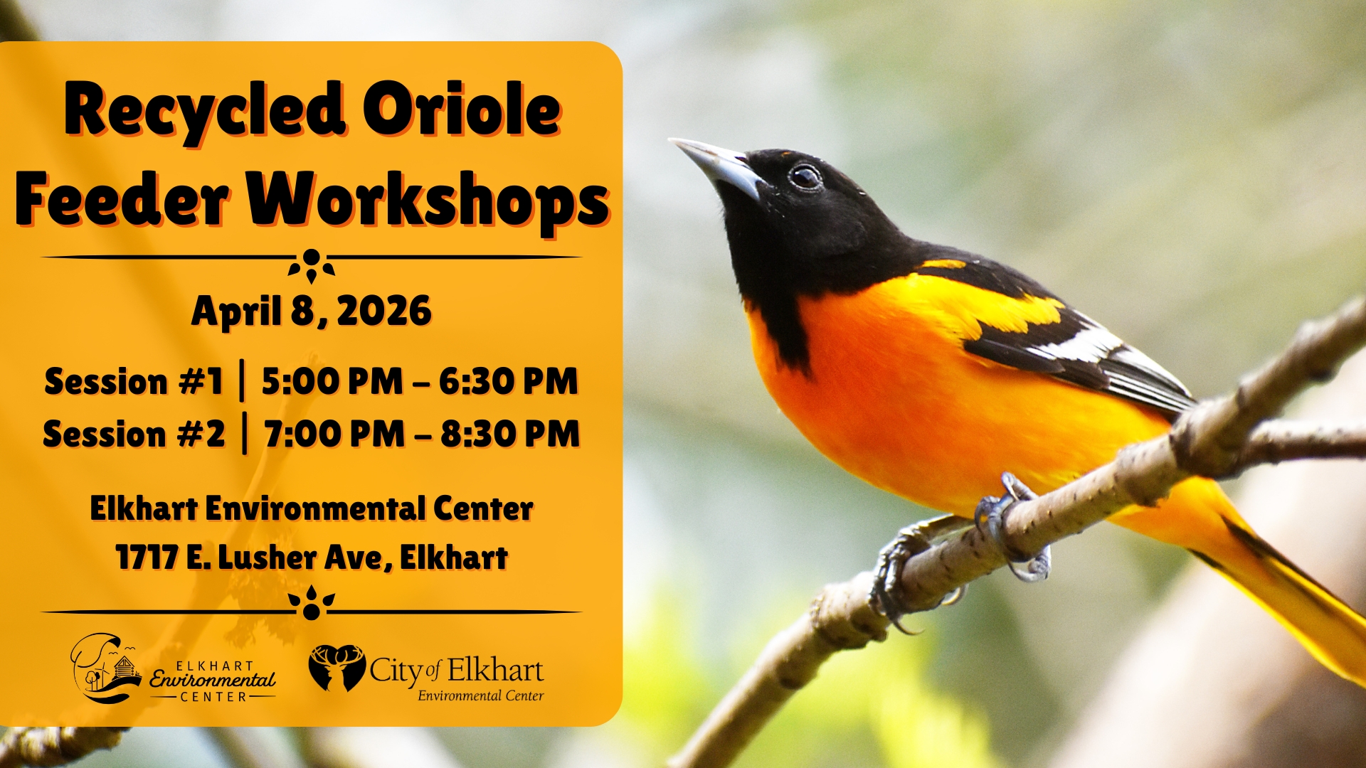 Recycled Oriole Feeder Workshops