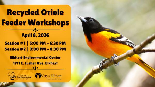 Recycled Oriole Feeder Workshops