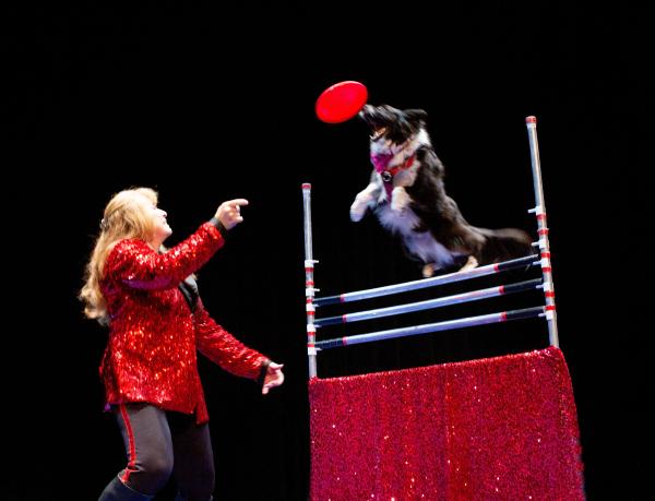 Cirque De Canines