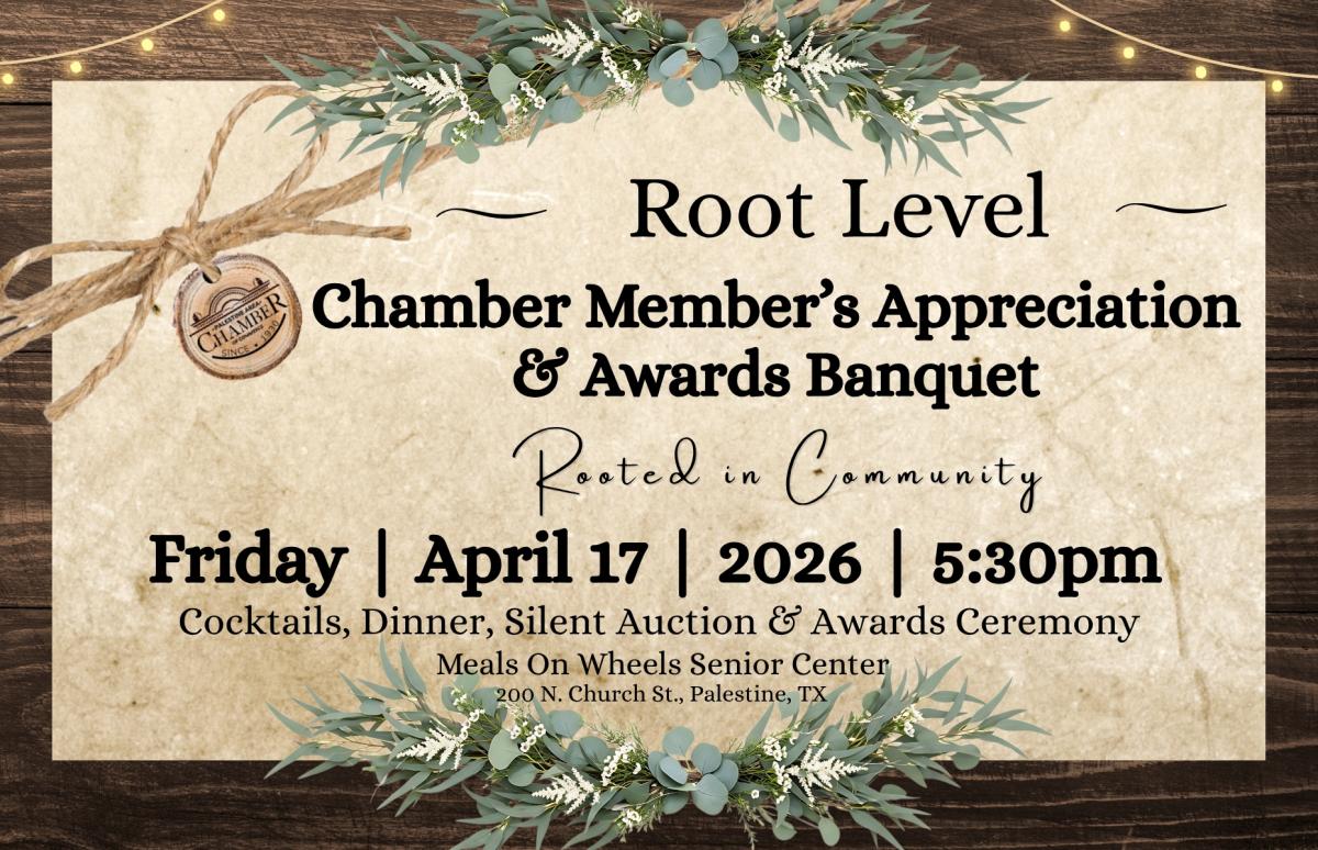 Root Level cover picture