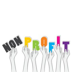 Non-Profit Organizations