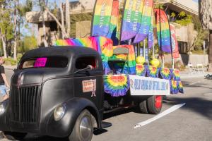 Local Business or Individual