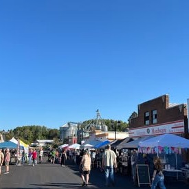 Arts & Crafts Show Application