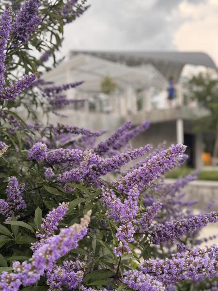 Vendor Vibe Market at the Circle~April 25th