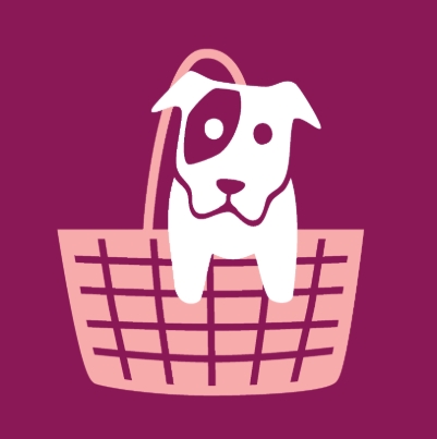 $20 Day-Of Ticket | DONATION TO RESCUE (Age 12+) cover picture