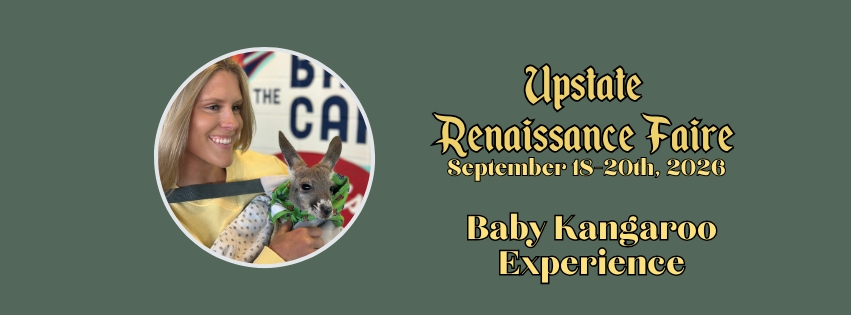 Baby Kangaroo Photo Experience cover picture