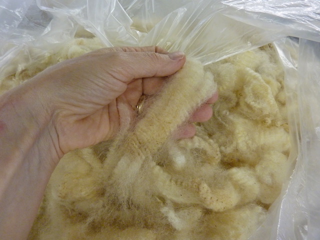 How to Choose a Fleece with Melissa Weaver Dunning, Friday, Sept 25, 1:00-4:00 cover picture