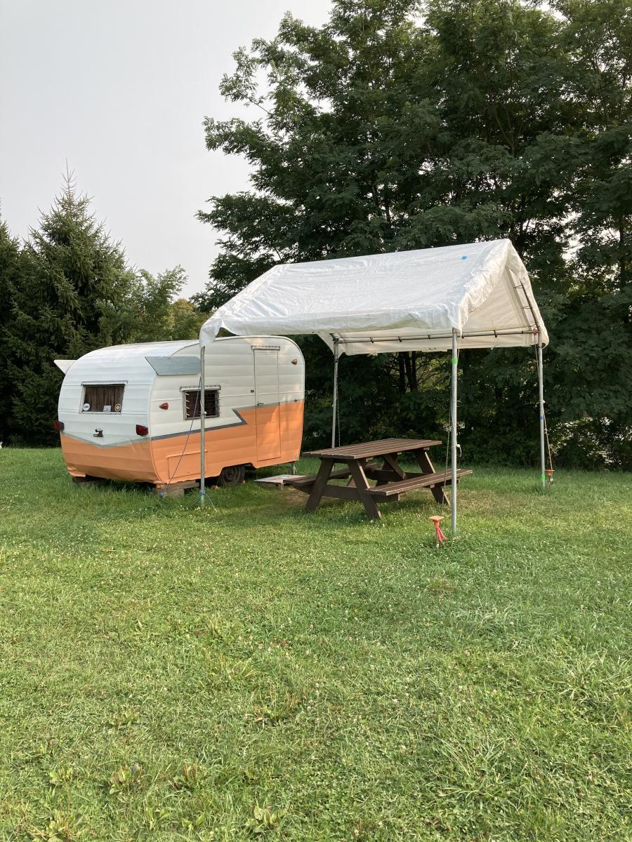 The Daisy Camper cover picture