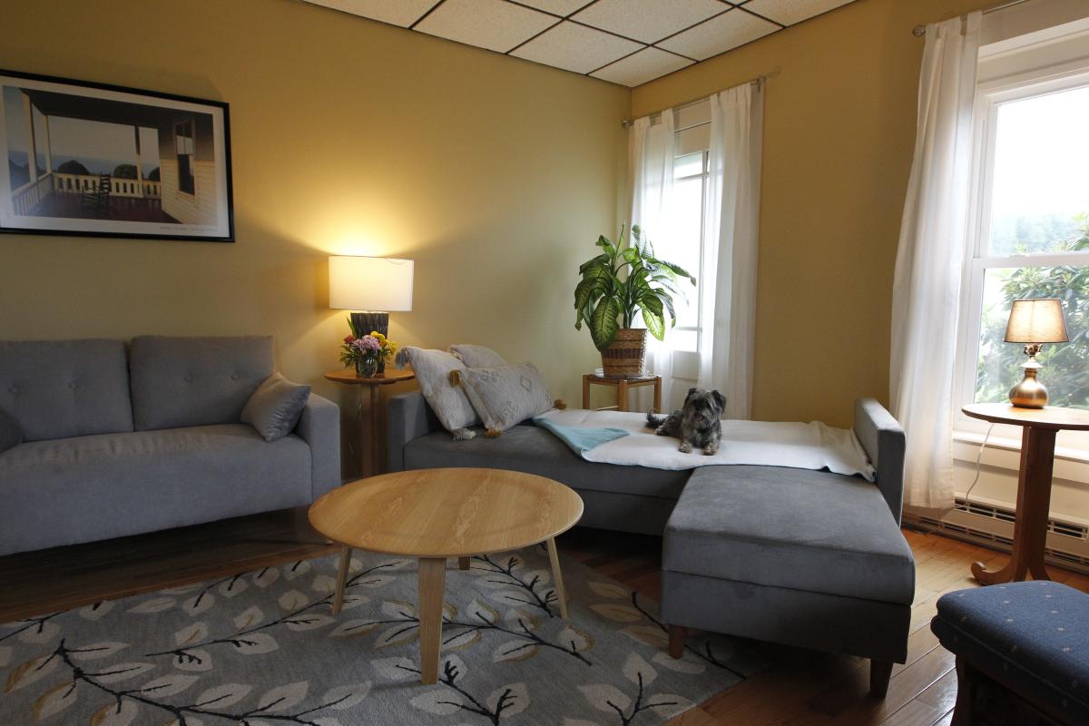Pull Out Couch in Living Room in PFM House cover picture