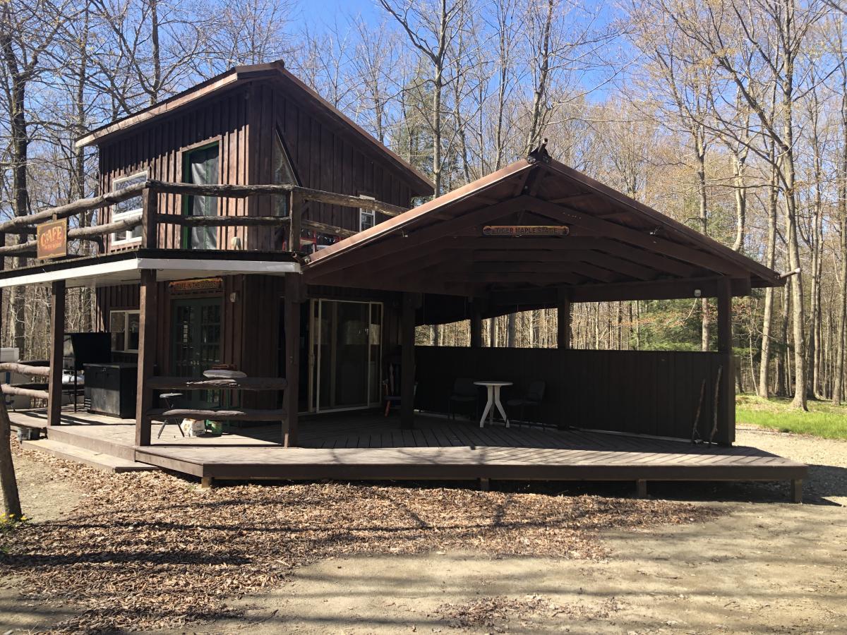 The Cafe In The Woods cover picture