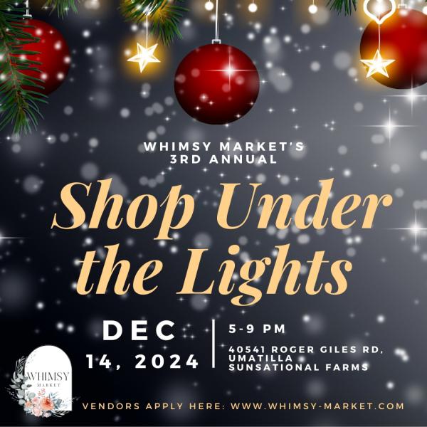Whimsy Market - Shop Under The Lights 2024