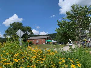 Maker Days at Touchstone by the Falls