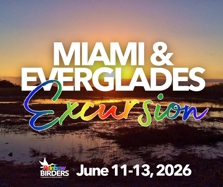 Rainbow Birders Miami & Everglades Excursion