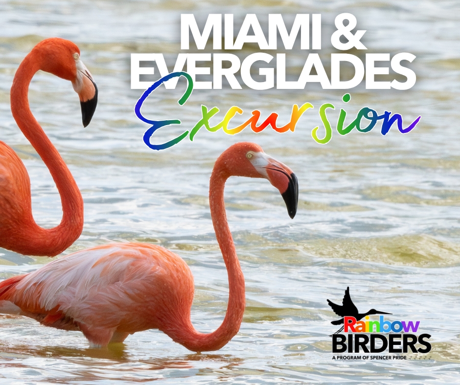 Rainbow Birders Florida Excursion cover picture