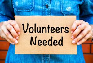14-17 Year Old Volunteers
