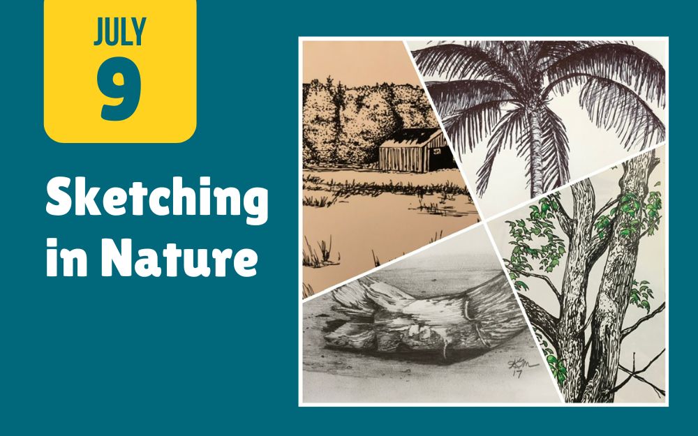 Sketching in Nature cover picture