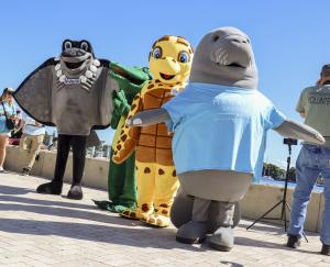 Mascot Wearer/Mascot Handler
