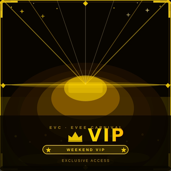 The VIP Weekend Experience cover picture