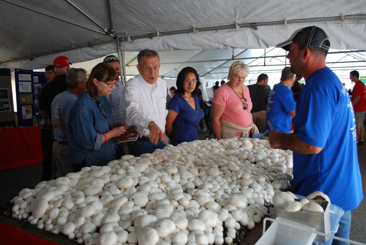 The 38th Annual Mushroom Festival cover image