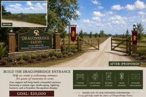 Build the DragonBridge Grand Entrance