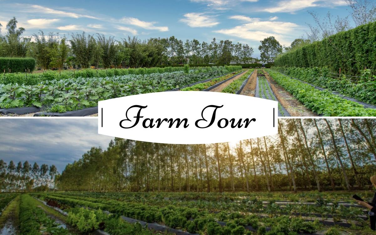 Holiday Guided Farm Tour cover image