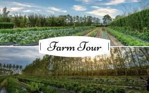 Holiday Guided Farm Tour cover picture