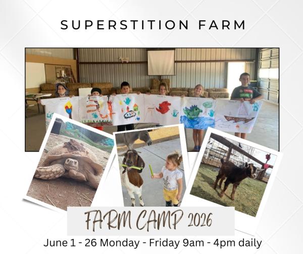 SuperFarm SuperCamp