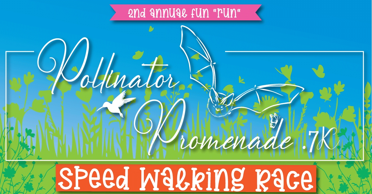 Speed Walking Race cover picture
