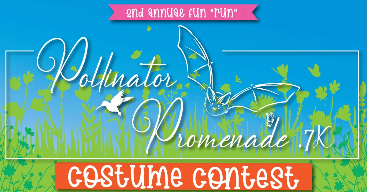 Costume Contest cover picture