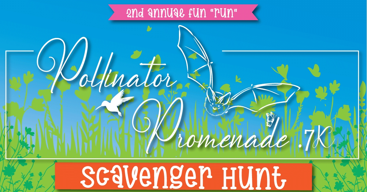 Scavenger Hunt cover picture