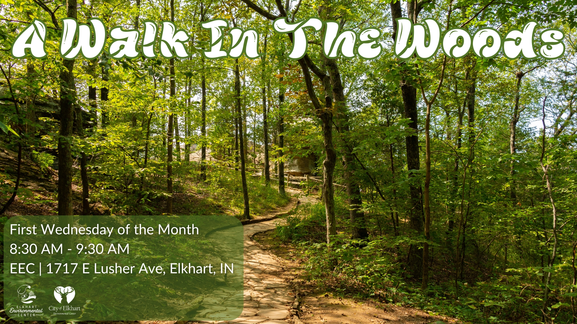 A Walk In The Woods - September Walk