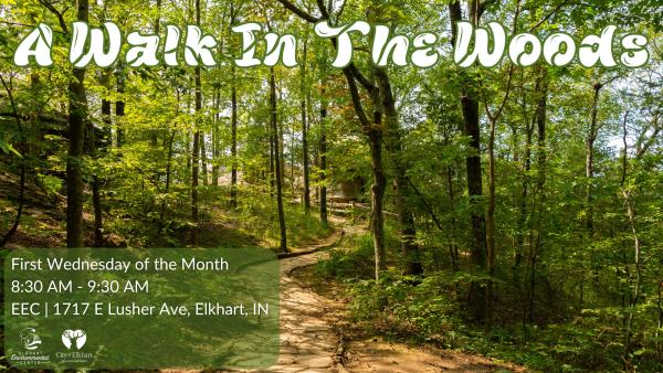 A Walk In The Woods - September Walk