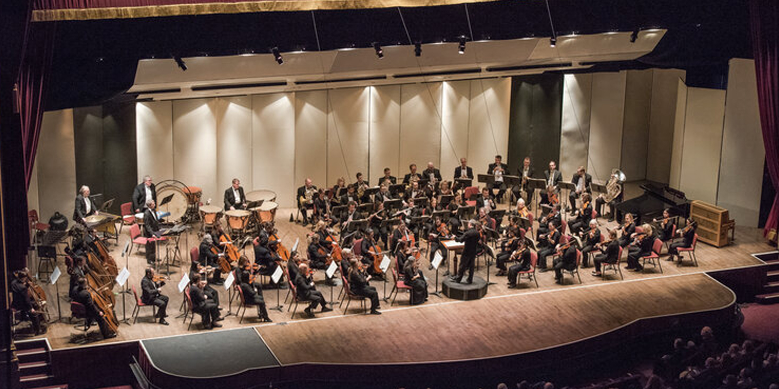 Check-in | Albany Symphony Musicians cover picture