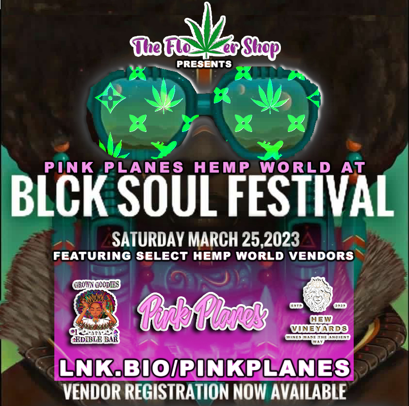 Pink Planes™ Presents: Black Soul Festival cover image