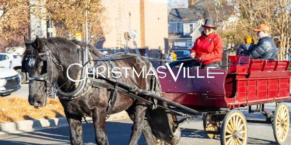 2026 Horse and Carriage Rides