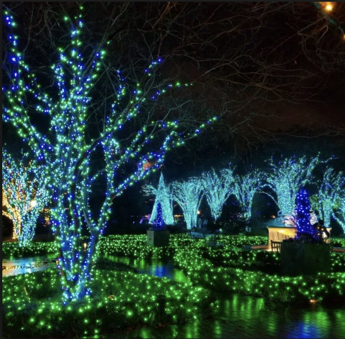 Garden Lights,  Holiday Nights