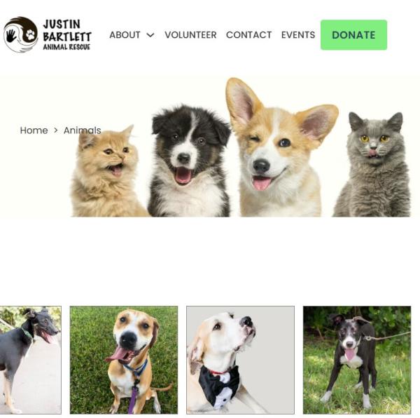 NON-PROFIT EXHIBITOR
