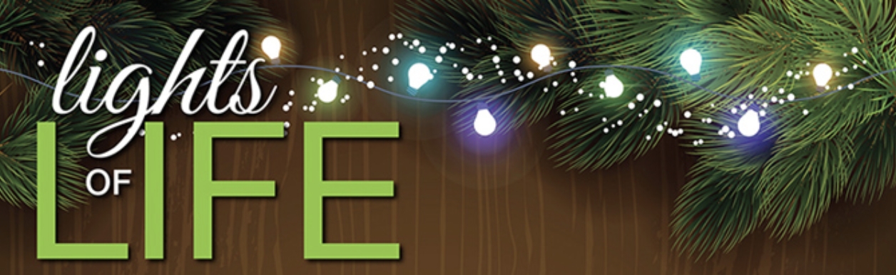 Lights of Life