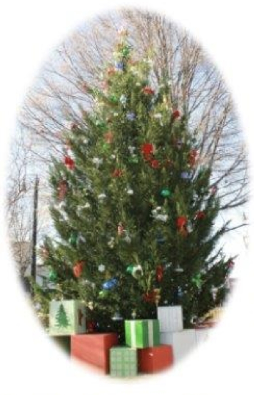 Marietta Tree Lighting