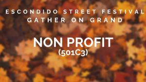 Non-Profits/Political