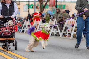 Deck the Paws Parade Participants (Pet Entries)