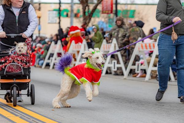 Deck the Paws Parade Participants (Pet Entries)