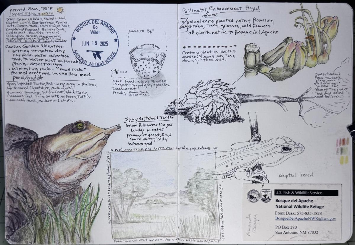 Nature Journaling with Nancy Meyers and Cindy Robbins | August 15 | 9:30 am &ndash; 11:30 am cover picture