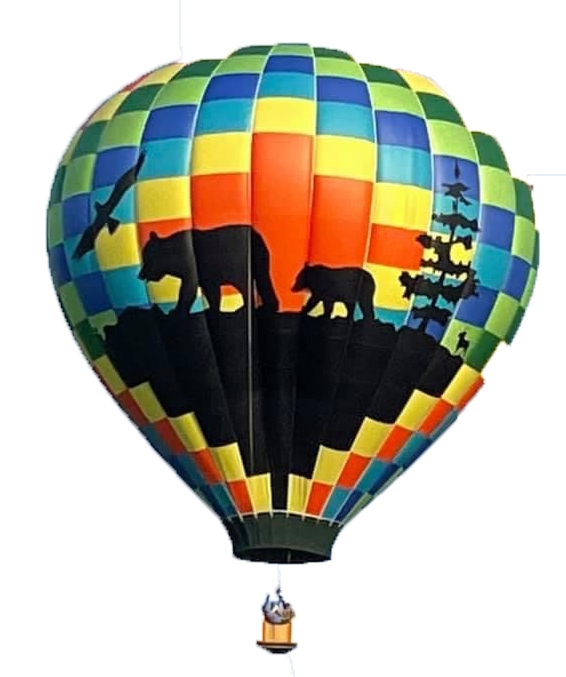 Hot Air Balloon Check In Hot Air Balloon Check In