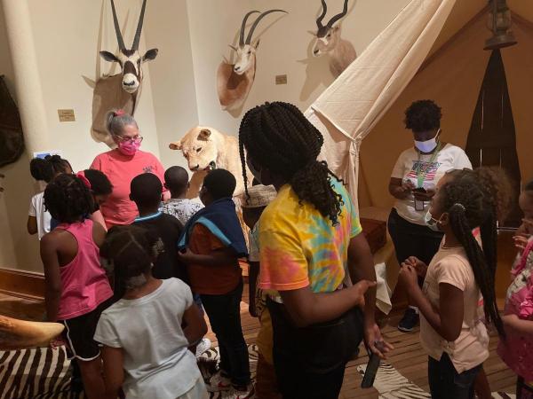 Bearology Museum Bearology Museum