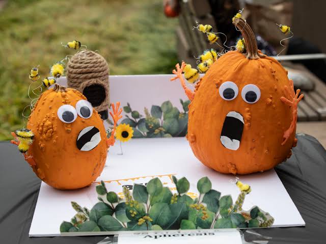Pumpkin Decorating Contest cover picture