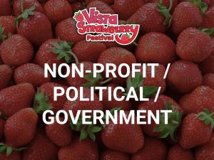 Non-Profit/Political/Government