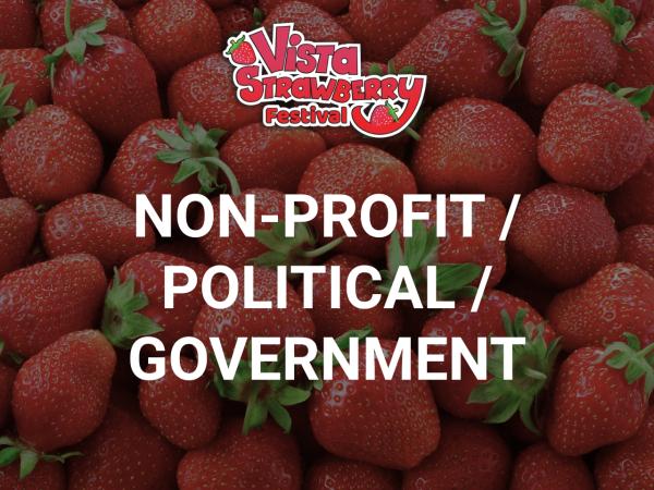 Non-Profit/Political/Government
