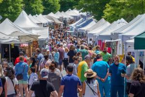 2027 Dunwoody Art Festival Artist Application
