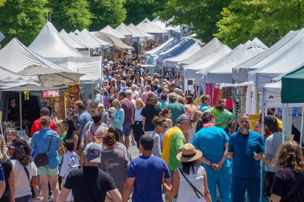 2027 Dunwoody Art Festival Artist Application